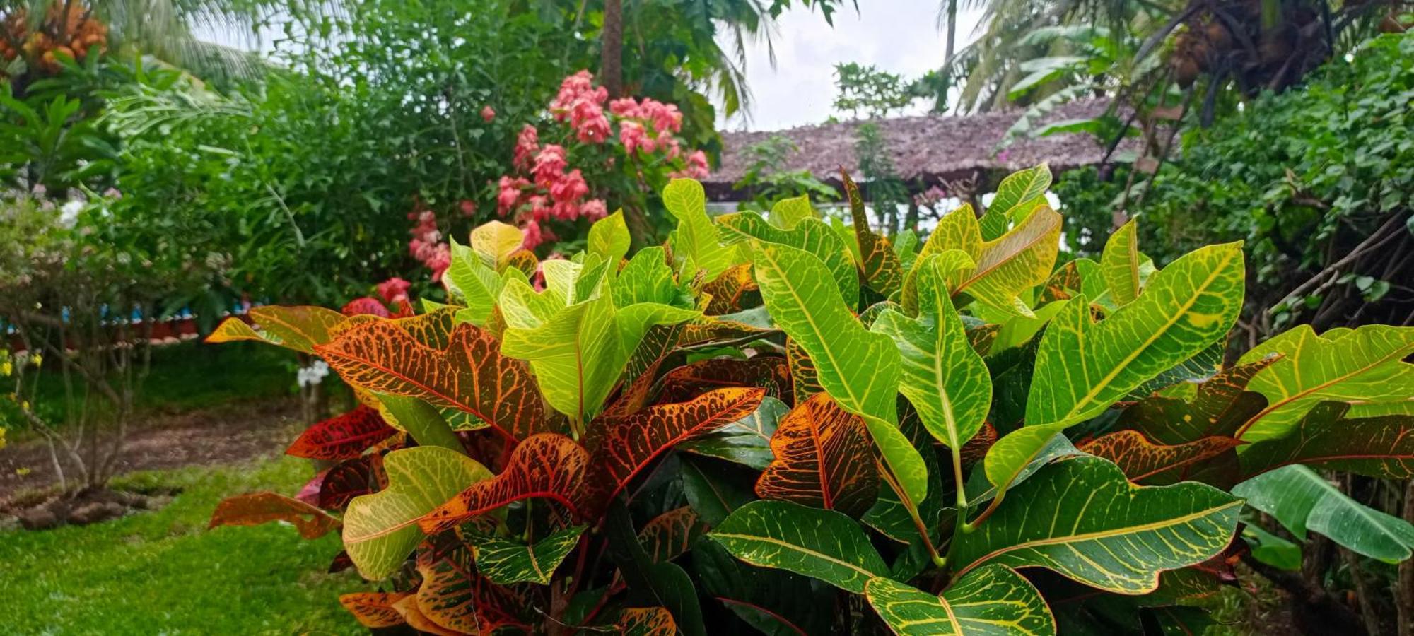 Piscine Bimoko Hotel Nosy-Be Bagian luar foto