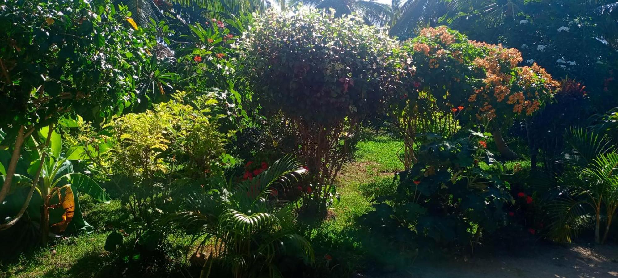 Piscine Bimoko Hotel Nosy-Be Bagian luar foto